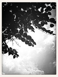View of snow covered landscape