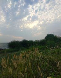 Scenic view of sea against sky during sunset