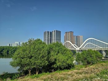 Arch bridge and trees against sky in city
