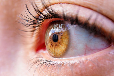 Extreme close-up of human eye