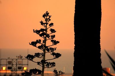 Silhouette tree against orange sky