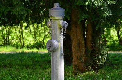 Close-up of cross on grass against trees