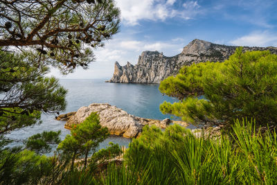 Scenic view of rocks and trees against sky