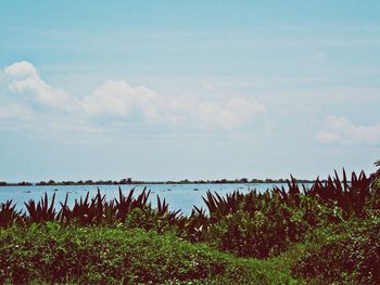 Scenic view of sea against cloudy sky