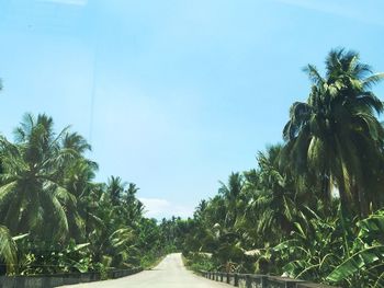 Road leading towards trees against blue sky