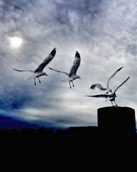 Low angle view of seagulls flying against cloudy sky