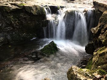 Scenic view of waterfall in forest