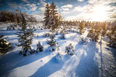 Scenic view of snow covered field against sky