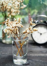 Close-up of flowering plant on glass table