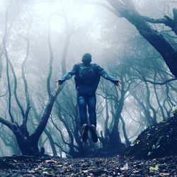 Creepy woods in indonesia