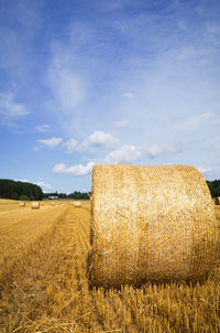 Scenic view of rural landscape