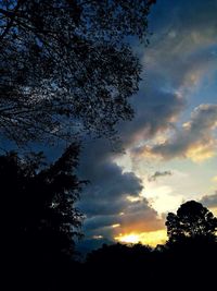 Low angle view of silhouette trees against sky at sunset