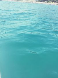 Scenic view of sea against blue sky