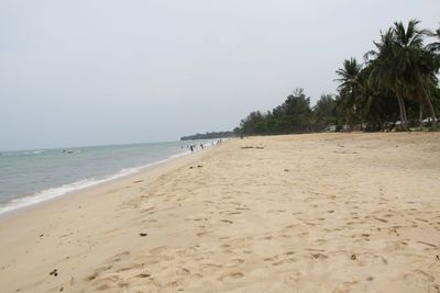 Scenic view of beach against clear sky