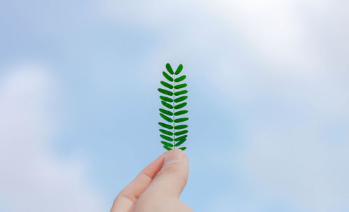 Close-up of hand holding leaf against sky