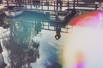 Wet horse by trees against sky