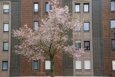 View of buildings in city