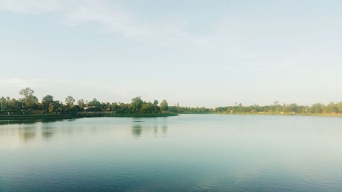 Reflection of trees in calm lake