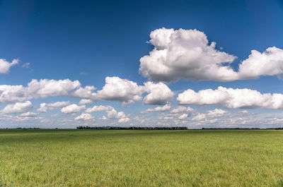 Scenic view of field against cloudy sky