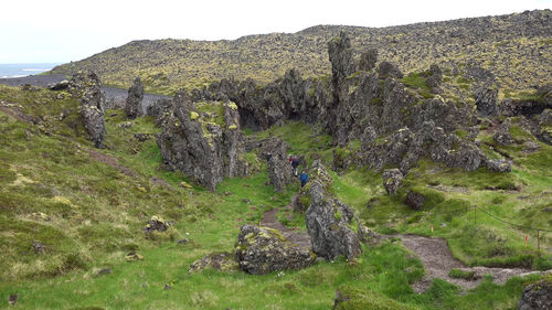 Plants growing on rocks against sky