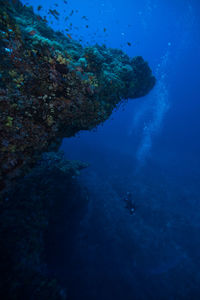 Person scuba diving at undersea