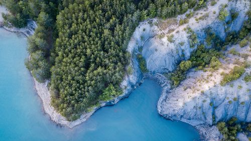 High angle view of bay against trees