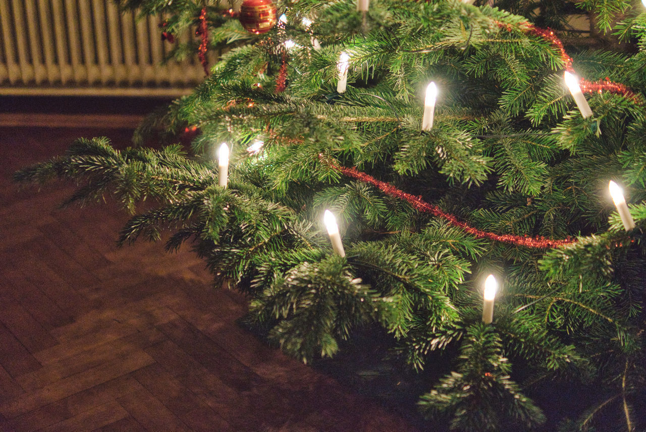 ILLUMINATED CHRISTMAS TREE AT NIGHT DURING FESTIVAL