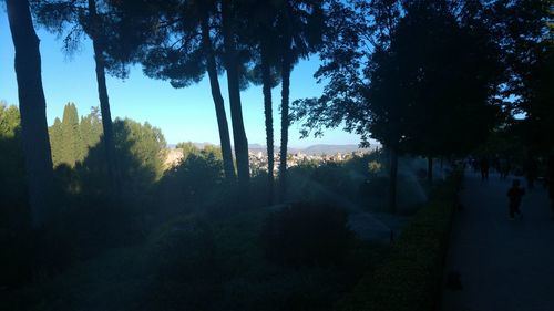 Silhouette trees against sky