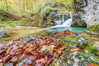 Stream flowing through rocks in forest during autumn