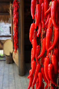 Close-up of red chili peppers