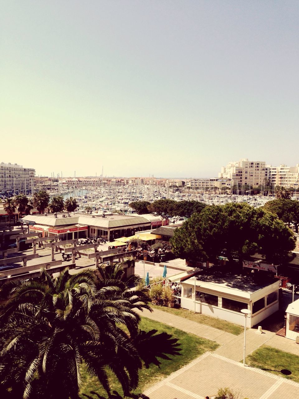 clear sky, building exterior, copy space, architecture, built structure, tree, palm tree, sea, city, high angle view, cityscape, water, horizon over water, growth, outdoors, residential building, nature, residential structure, sky, residential district