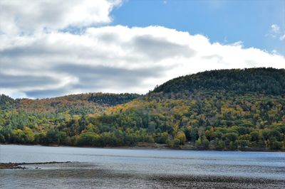 Scenic view of lake and trees against sky