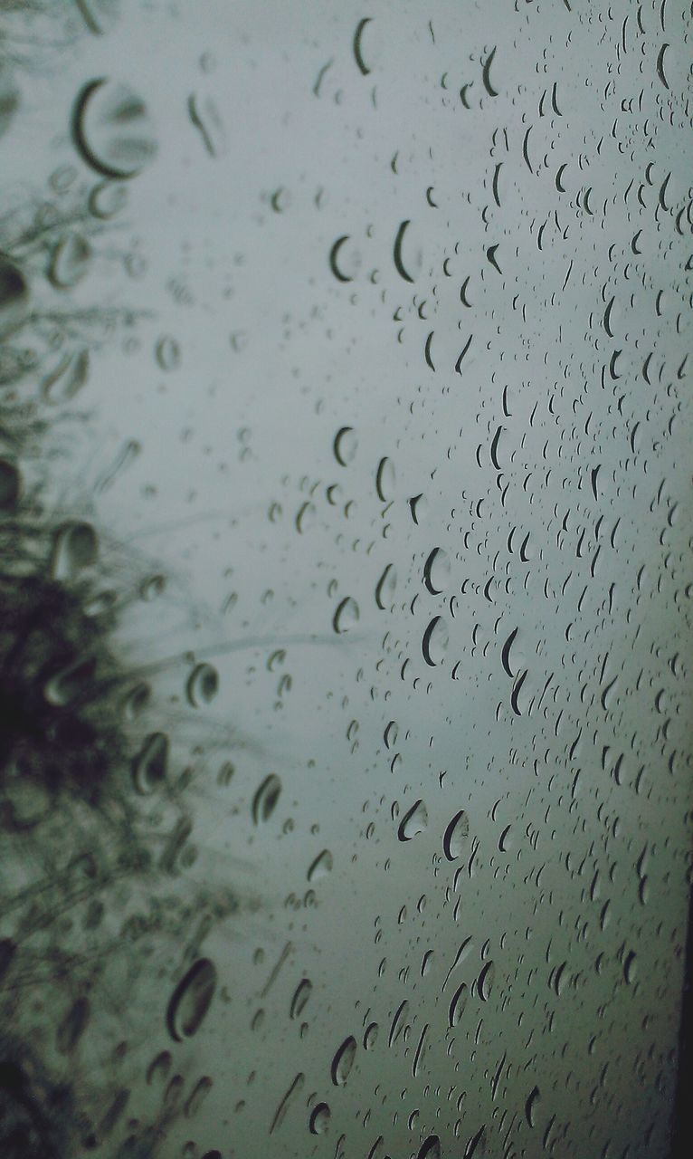 drop, wet, window, water, indoors, transparent, glass - material, rain, full frame, backgrounds, raindrop, weather, glass, season, close-up, focus on foreground, sky, no people, day, nature