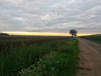 Scenic view of grassy field against cloudy sky