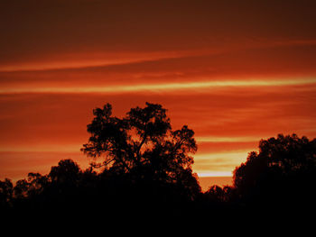 Silhouette trees against dramatic sky during sunset