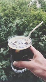 Cropped hand holding iced coffee against plants