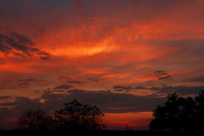 Low angle view of silhouette trees against dramatic sky