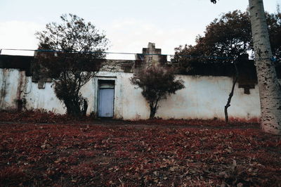 Abandoned house by tree against sky