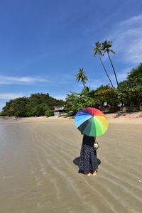 umbrella