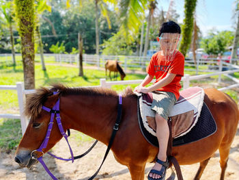 Horse standing in stable