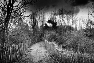 Dirt road passing through field