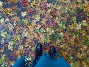 Low section of peers on standing on fallen autumn leaves