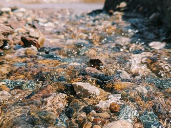 Close-up of rocks