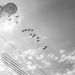 Low angle view of power lines against sky