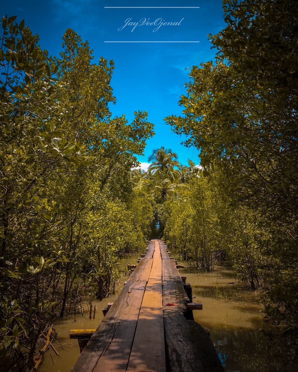 FOOTPATH AMIDST TREES AGAINST SKY