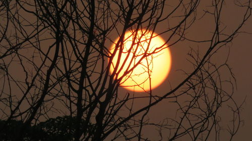 Low angle view of silhouette bare trees against sky during sunset