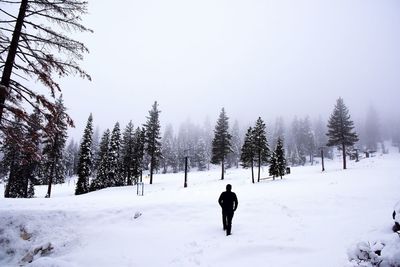 Rear view of man walking on snow covered land