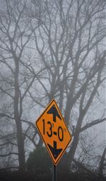 Close-up of road sign against bare trees
