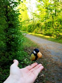 Human hand holding a horse