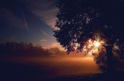 Silhouette trees on field against sky at sunset